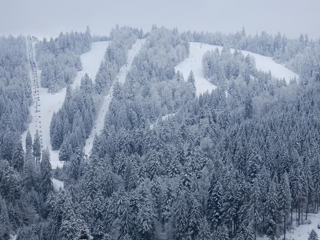 Chalet Les Sapins Argentes Gérardmer Dış mekan fotoğraf