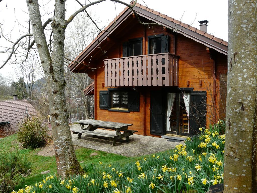 Chalet Les Sapins Argentes Gérardmer Dış mekan fotoğraf